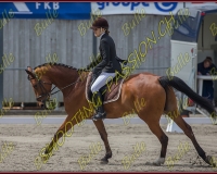 BULLE 0276
